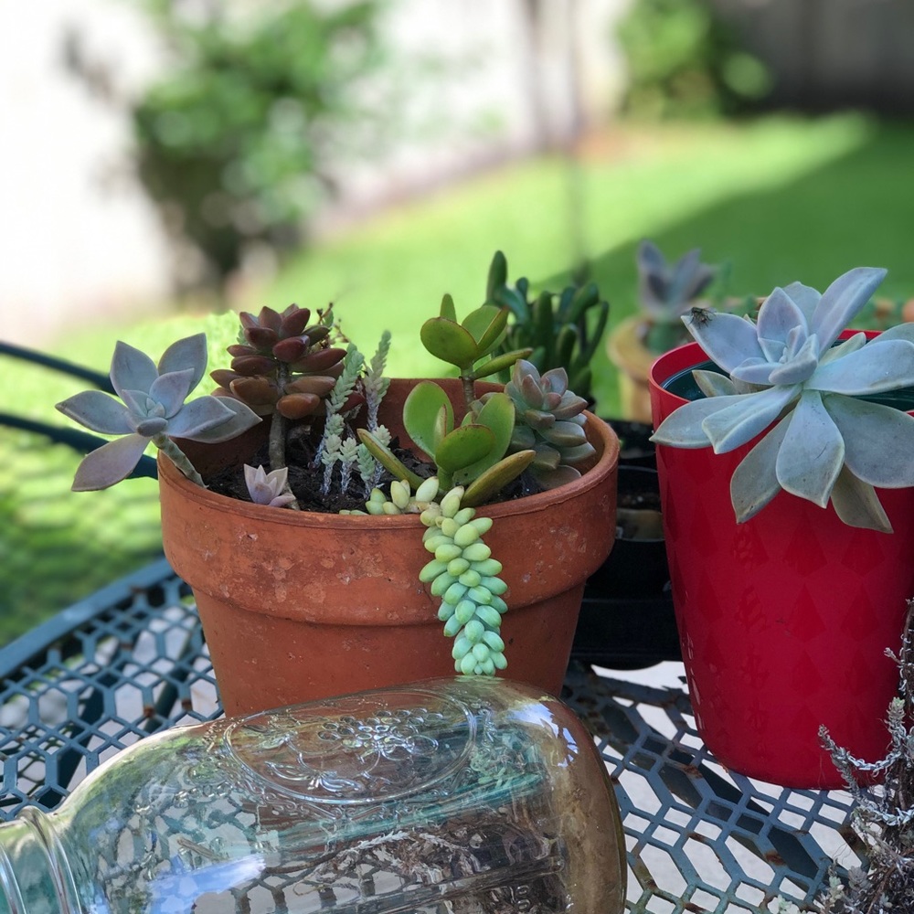 Meet your Posher, iso